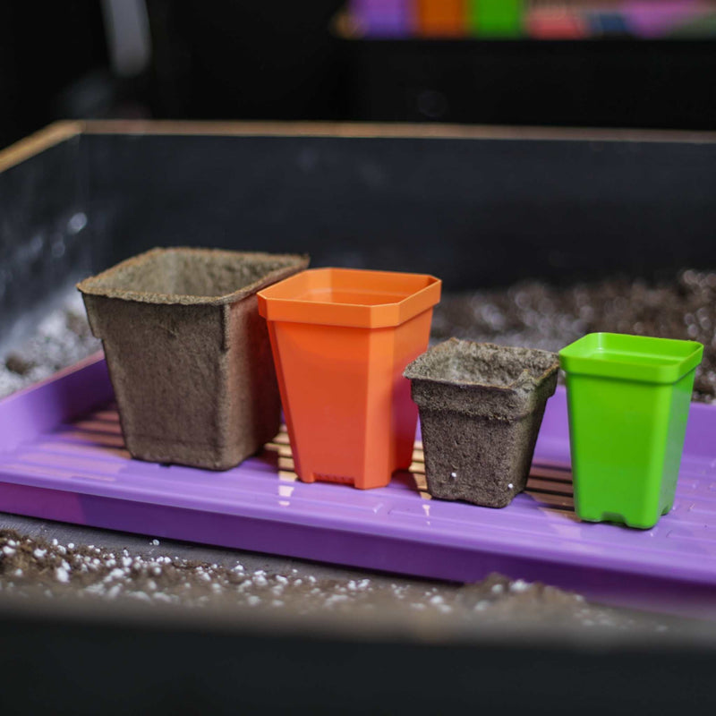 Load image into Gallery viewer, CowPots® #4 Square
