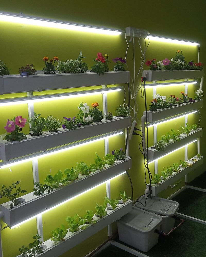 Load image into Gallery viewer, Wally 32 – Hydroponic Vertical System for Growing 32 Greens and Fruits
