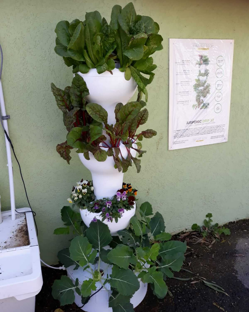 Load image into Gallery viewer, Airponic Fruit - Hydroponic Tower Garden System
