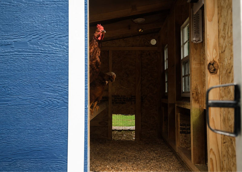 Load image into Gallery viewer, Large Chicken Coop - Up to 15 Chickens

