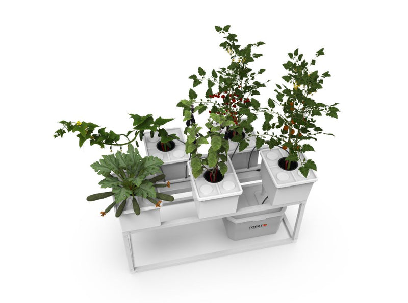 Load image into Gallery viewer, Tobato 5 – Dutch Bucket Hydroponic Growing System
