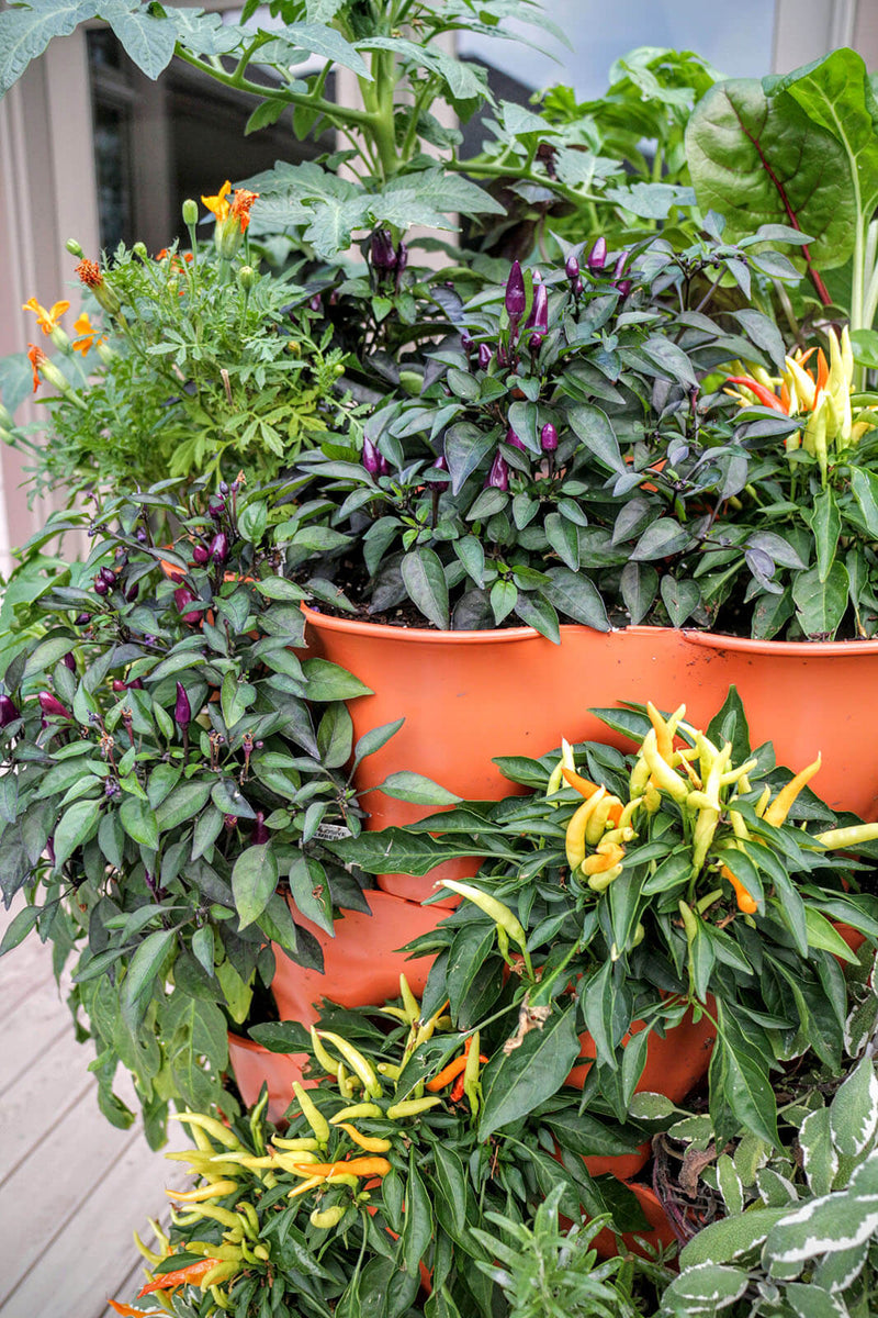 Load image into Gallery viewer, Garden Tower 2™, 50-Plant Composting Vertical Garden Planter (Dropship)
