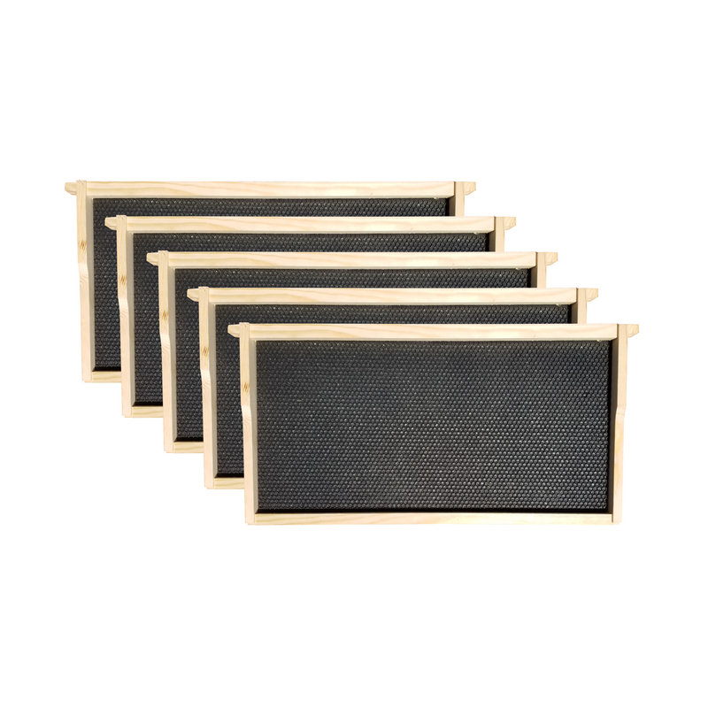 Load image into Gallery viewer, Amish-Made 10 Frame Beehive - Starter Kit
