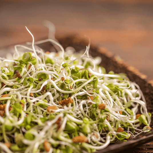 5 Part Salad Mix Sprout – 1,000 Seeds