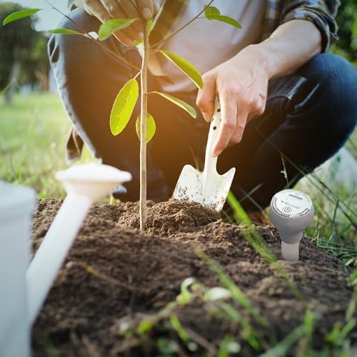Load image into Gallery viewer, Gardener positioning Blumat moisture meter in soil near a plant
