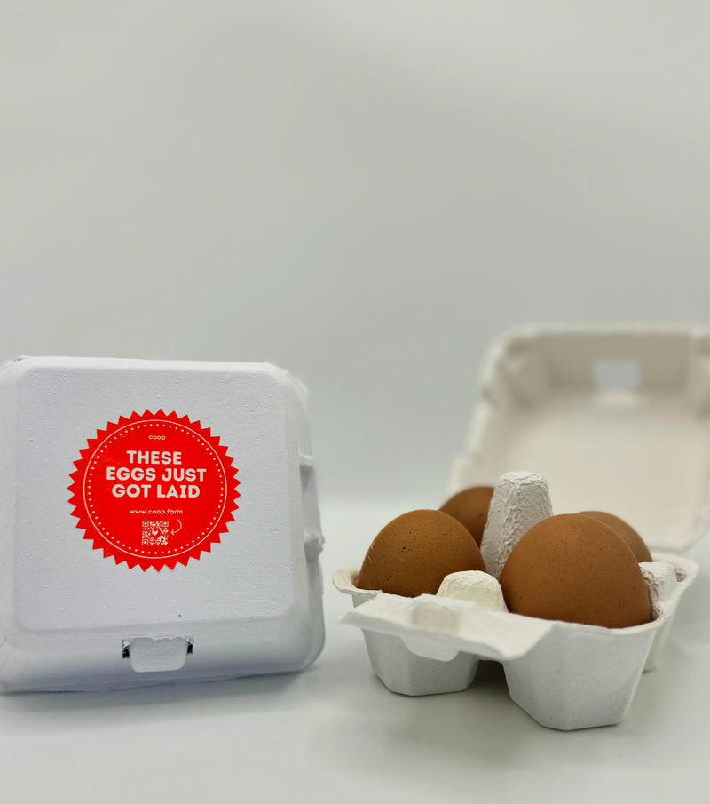 Load image into Gallery viewer, "Just Got Laid" 4-Egg Carton
