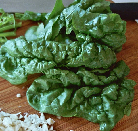 Organic Slow Bolt Savoyed Spinach seeds package, GrowTime Garden Supply