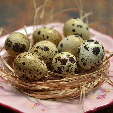 Hollow quail eggshells, detail view