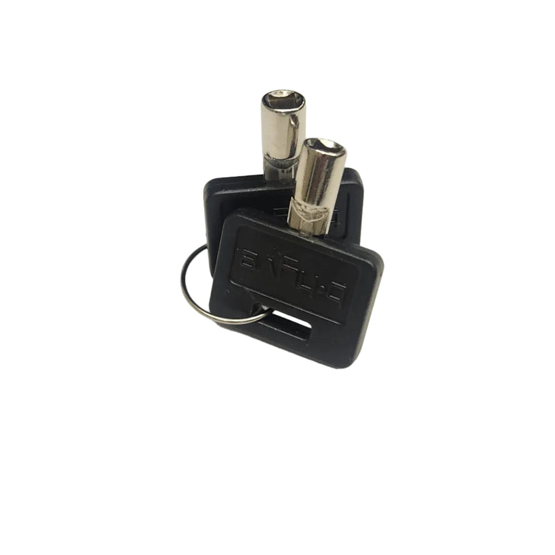 Load image into Gallery viewer, B-hyve Irrigation Controller key 2-pack | 57946-61
