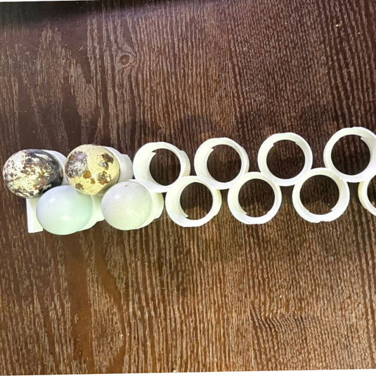 CT60 Jumbo Quail Egg Rails, 12-Pack shown in product view 4