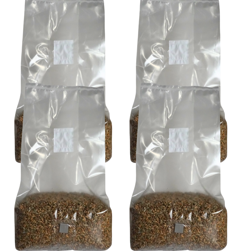 Load image into Gallery viewer, Sterile Mushroom Grain Spawn Bag (5 Pound)

