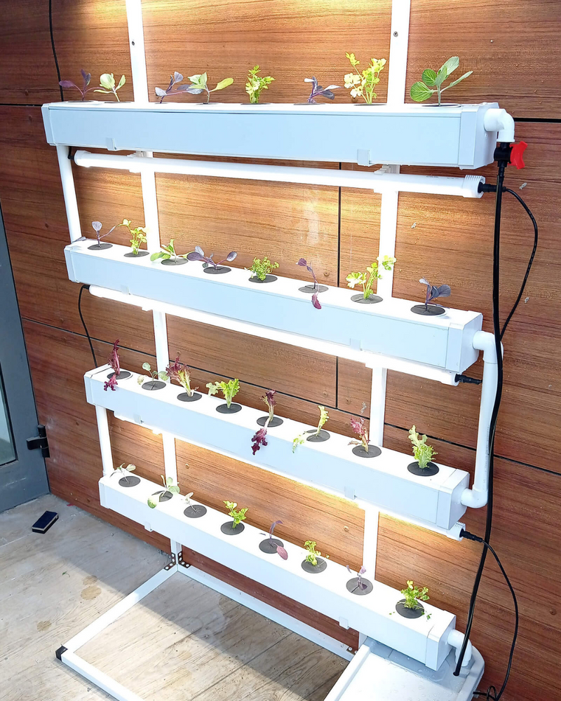 Load image into Gallery viewer, Wally 32 – Hydroponic Vertical System for Growing 32 Greens and Fruits
