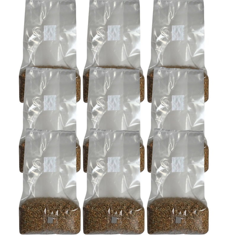 Load image into Gallery viewer, Sterile Mushroom Grain Spawn Bag (5 Pound)
