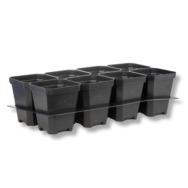 Load image into Gallery viewer, 5" Nursery Pots with Insert Tray
