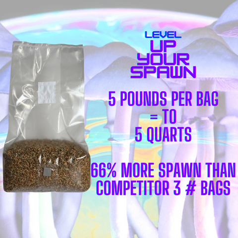 Sterile mushroom grain spawn bag, 5 pounds