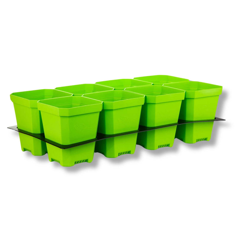 Load image into Gallery viewer, 5" Nursery Pots with Insert Tray

