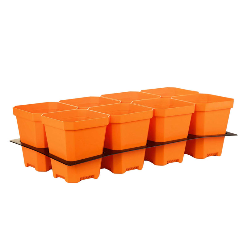 Load image into Gallery viewer, 5" Nursery Pots with Insert Tray

