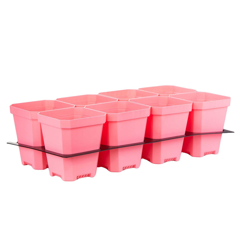 Load image into Gallery viewer, 5" Nursery Pots with Insert Tray
