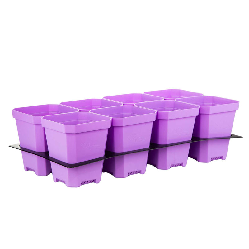 Load image into Gallery viewer, 5" Nursery Pots with Insert Tray
