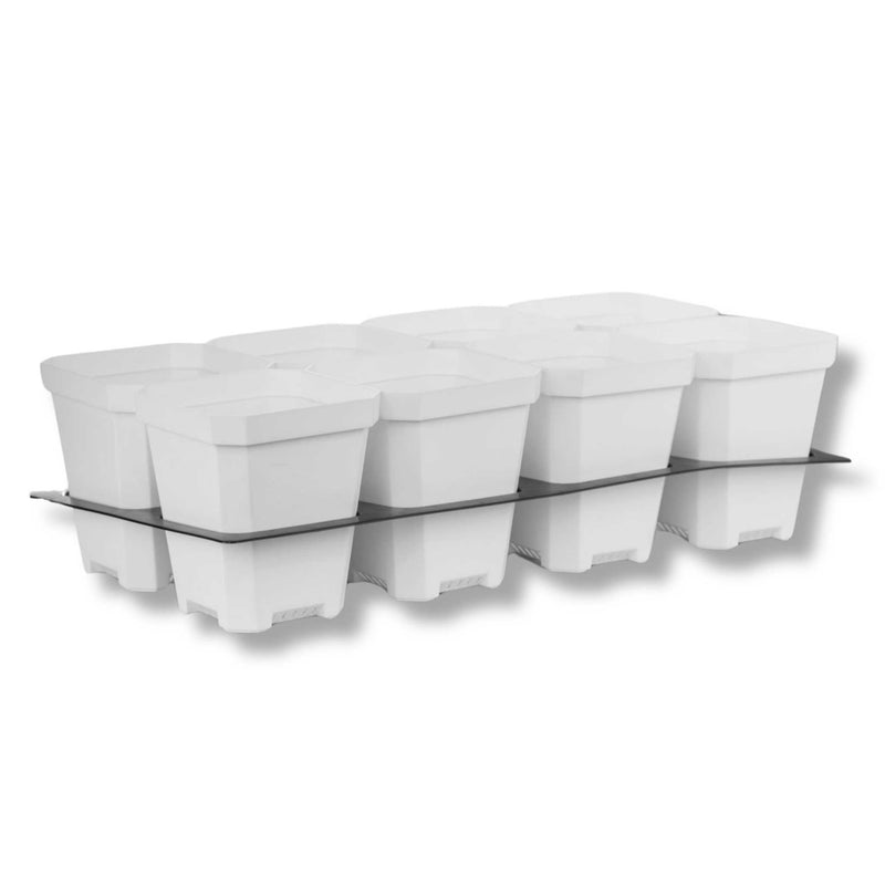 Load image into Gallery viewer, 5" Nursery Pots with Insert Tray
