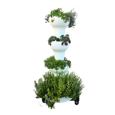 Airponic Fruit hydroponic tower garden system
