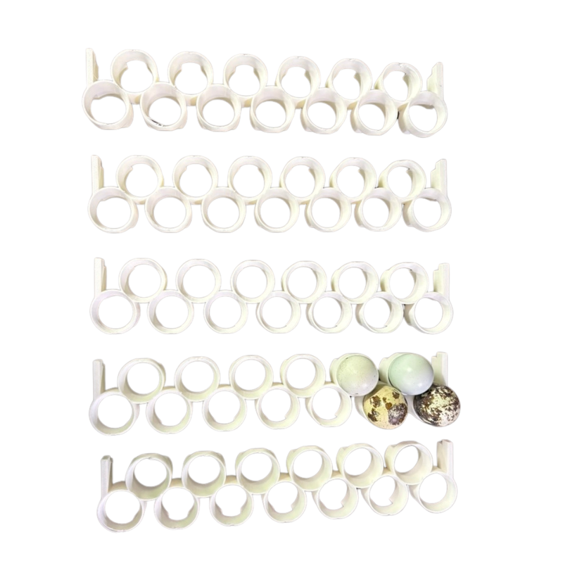 Load image into Gallery viewer, CT120 Jumbo Quail Egg Rails, 24-Pack shown in product view 5
