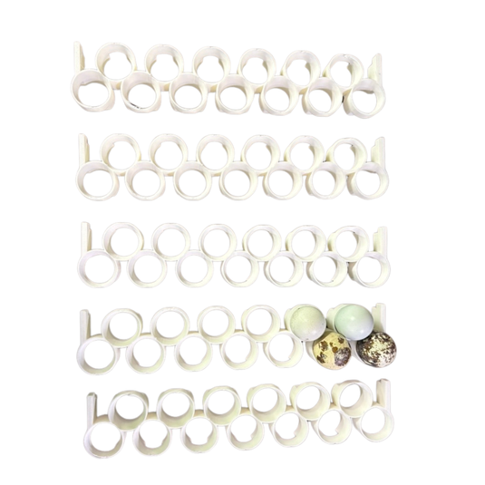 CT120 Jumbo Quail Egg Rails, 24-Pack shown in product view 5