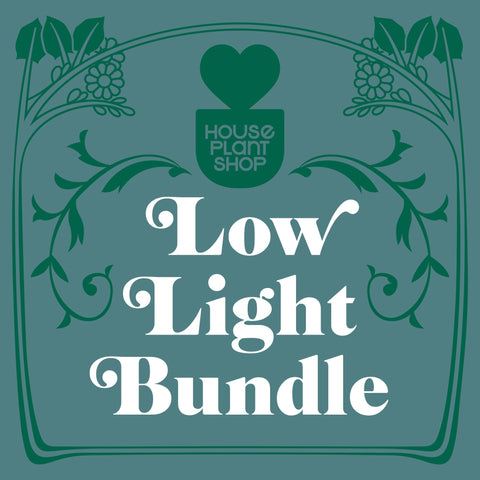 Low Light Bundle, additional product view 2