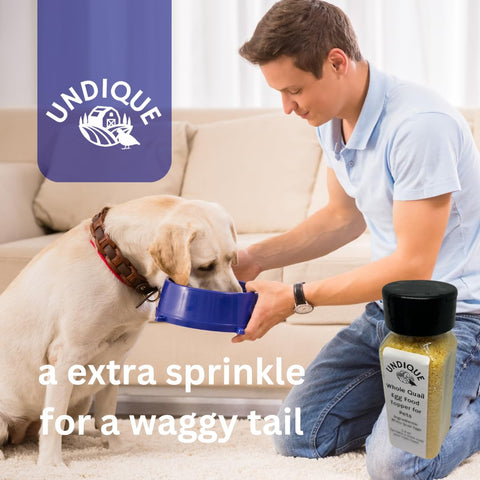 Quailicious Boost freeze-dried quail eggs, dog topper detail