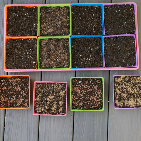 5X5 Extra Strength Shallow Microgreen Trays, additional product view 2