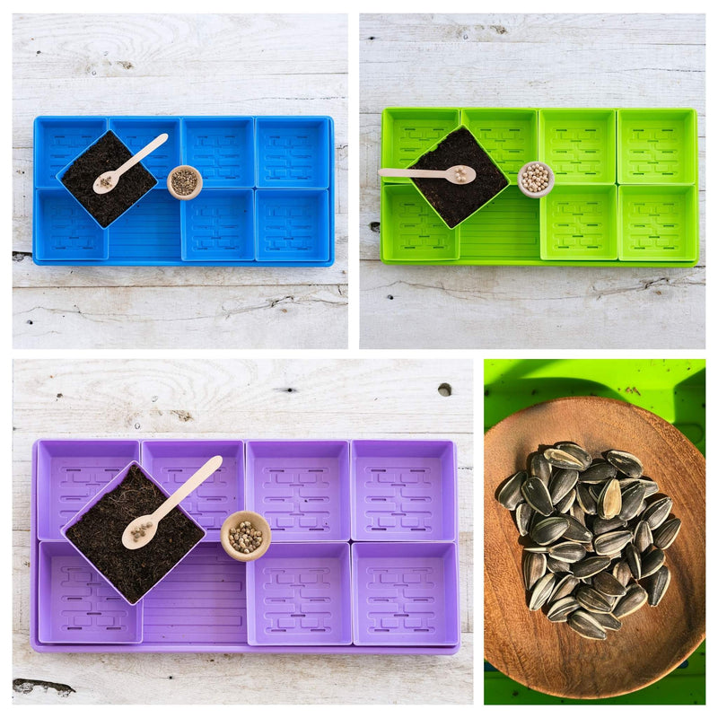 Load image into Gallery viewer, 5x5 Microgreens Kit
