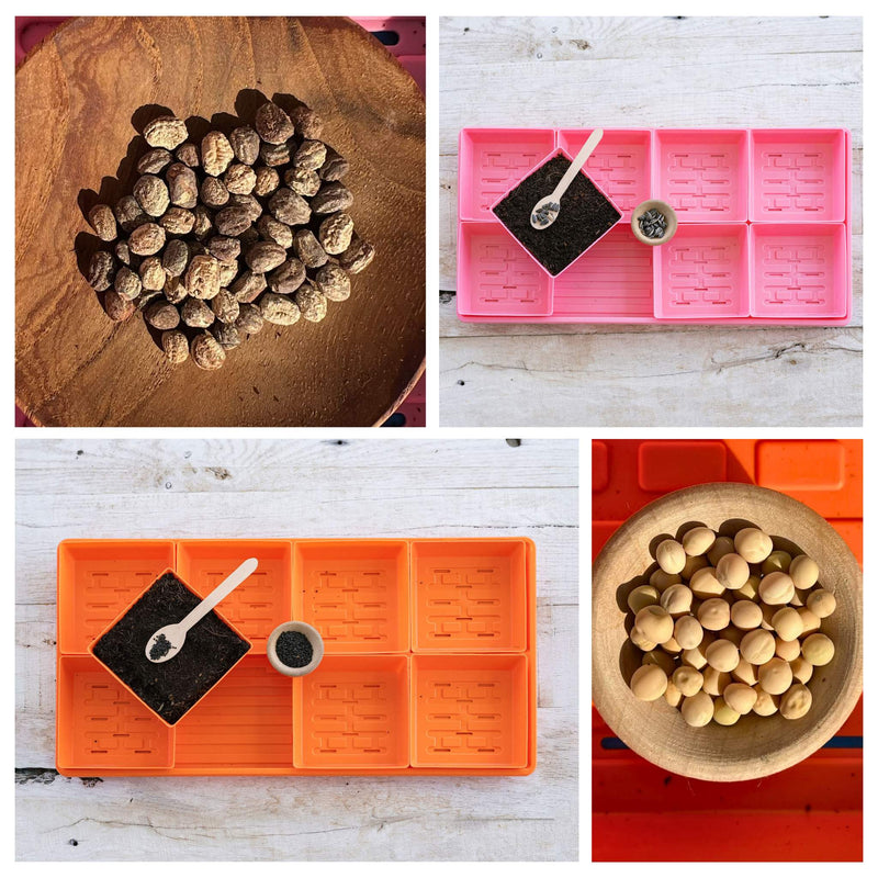 Load image into Gallery viewer, 5x5 Microgreens Kit
