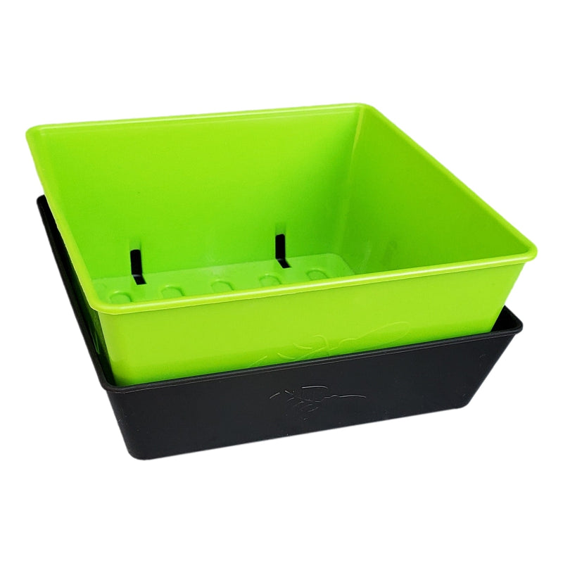 Load image into Gallery viewer, 5X5 Extra Strength Shallow Microgreen Trays
