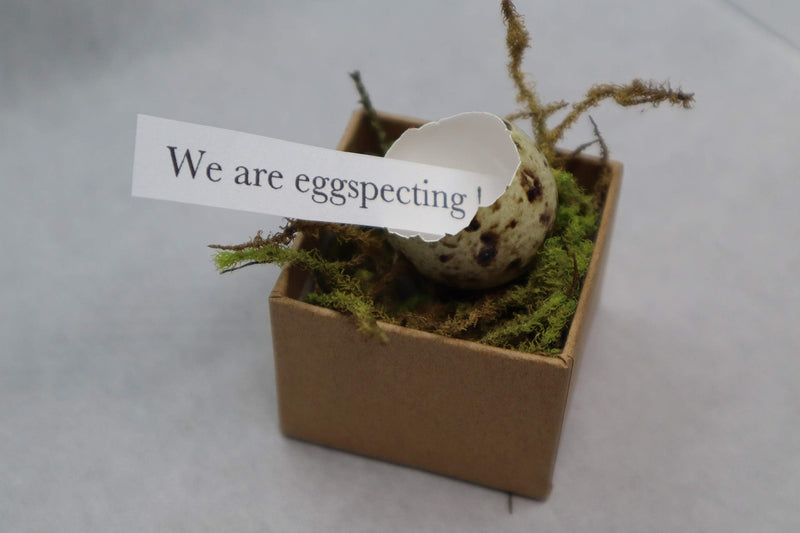 Load image into Gallery viewer, Gender Reveal Ideas: Quail Egg Pregnancy Announcement Kit for Family - Creative Baby Shower Activities &amp; Memorable Baby's Gender Reveal comes with 3 Hollow Quail eggs, glitter, and a craft box
