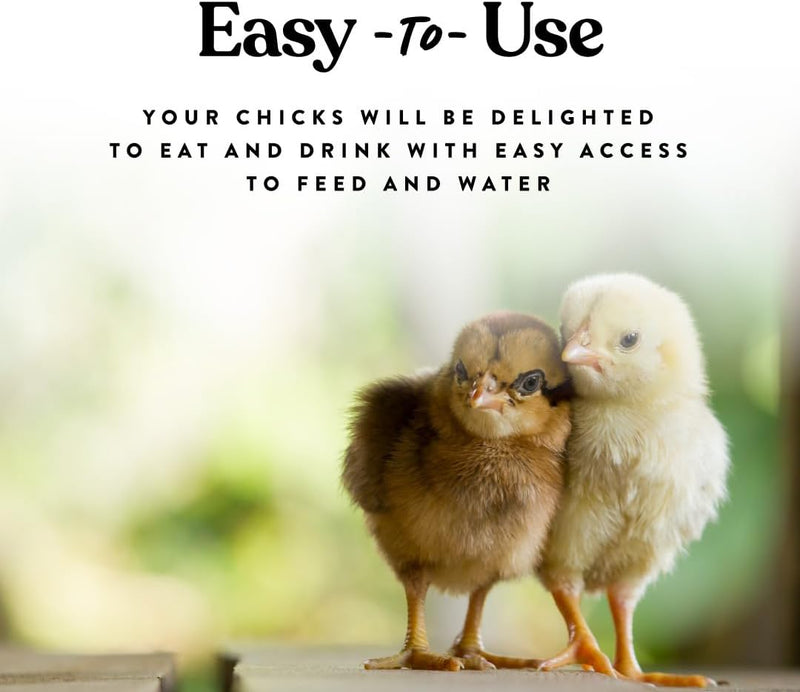 Load image into Gallery viewer, Chick Feeder &amp; Water Set, Holds 1 quart, Screw on Bases for Easy Cleaning
