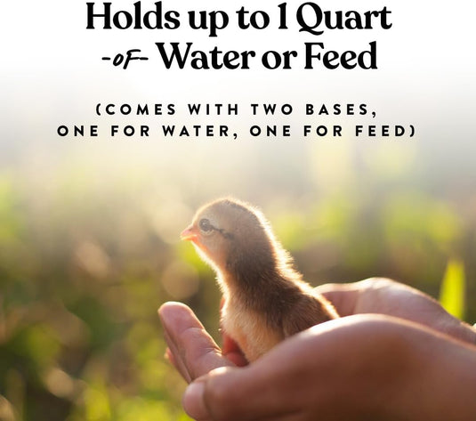 Chick Feeder & Water Set, Holds 1 quart, Screw on Bases for Easy Cleaning