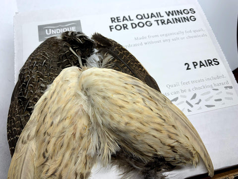 Dehydrated quail wings, detail view