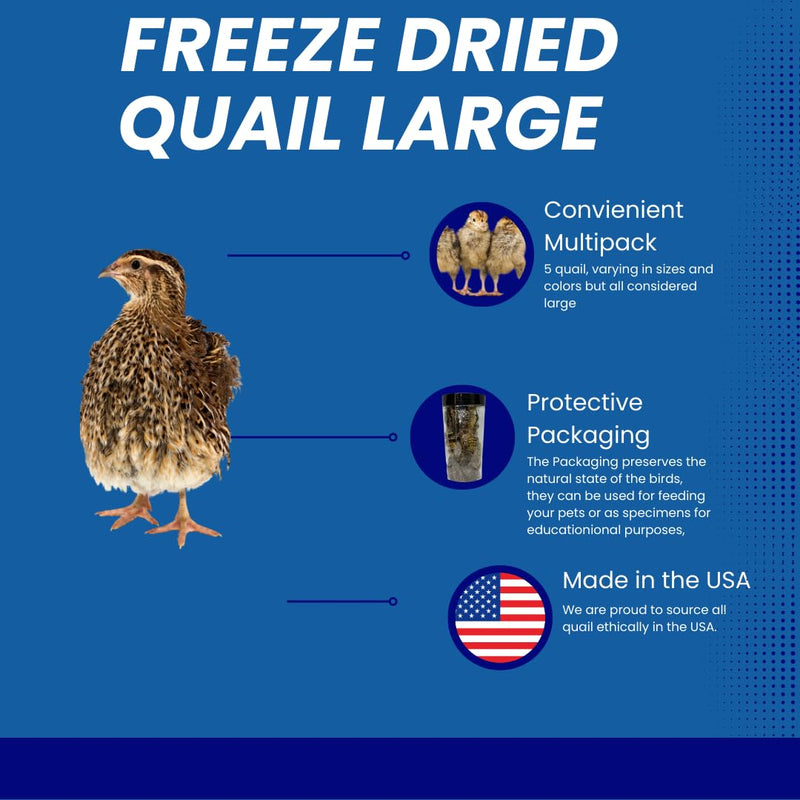Load image into Gallery viewer, Bird Dog Training Quail - Premium Freeze-Dried Whole Quail for Dogs 5ct, Large (Chick) - Natural Prey Feeding Quality Protein Pet Treats
