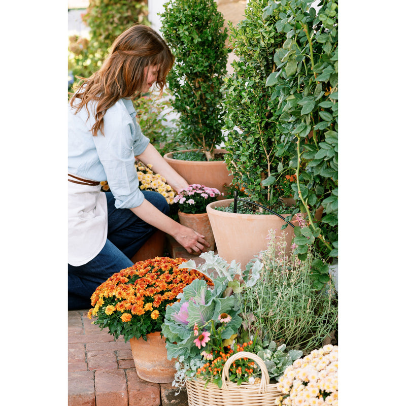 Load image into Gallery viewer, Patio &amp; Potted Plant Kit 67523

