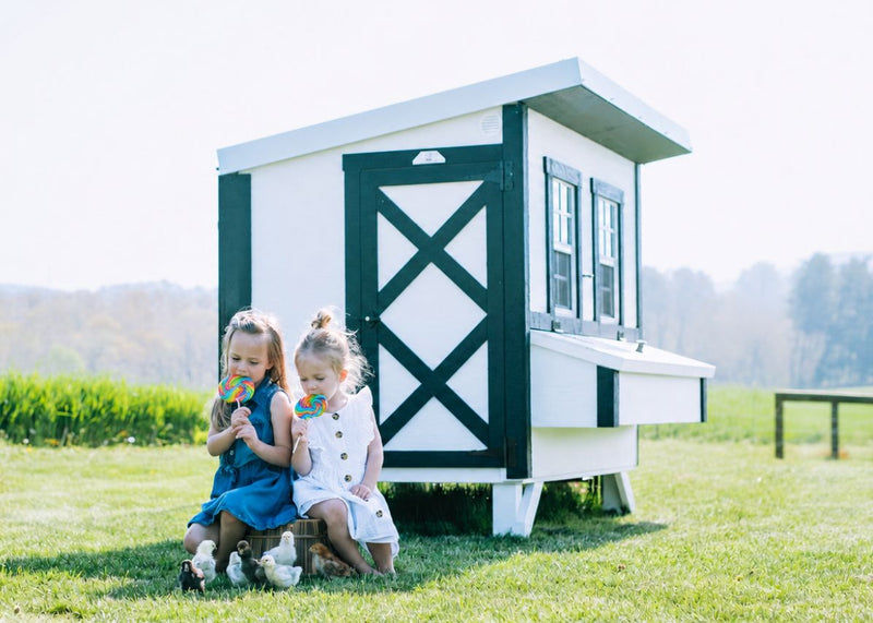 Load image into Gallery viewer, Large Chicken Coop - Up to 15 Chickens
