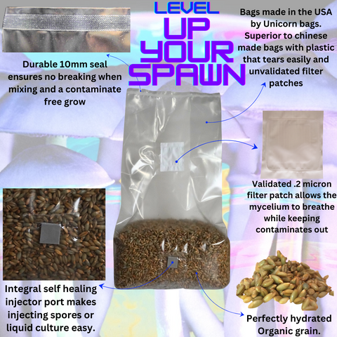 Grain spawn bag, detail view