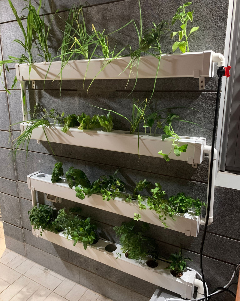 Load image into Gallery viewer, Wally 32 – Hydroponic Vertical System for Growing 32 Greens and Fruits
