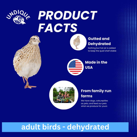 Quail Whole Prey dehydrated for Bird Dog Training or Falconry