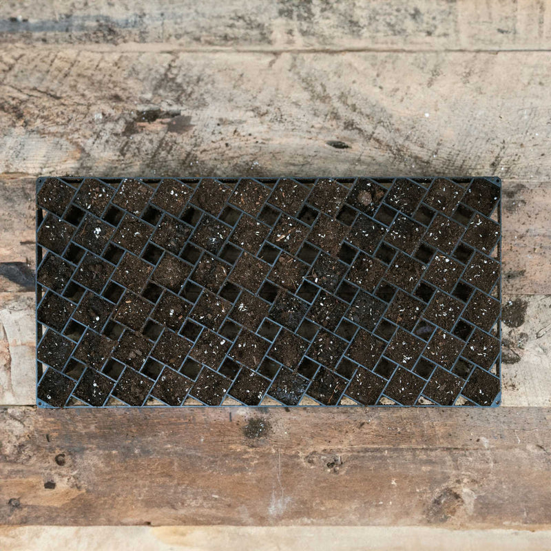 Load image into Gallery viewer, Air Prune Heavy Duty Propagation Tray - 72 Cell

