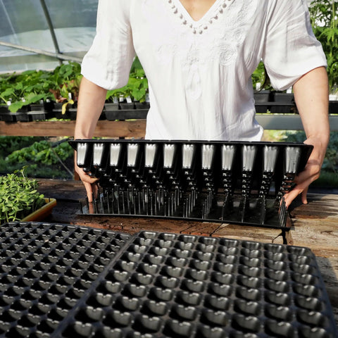 Plug Popper for Cell Trays from Bootstrap Farmer at GrowTime Garden Supply