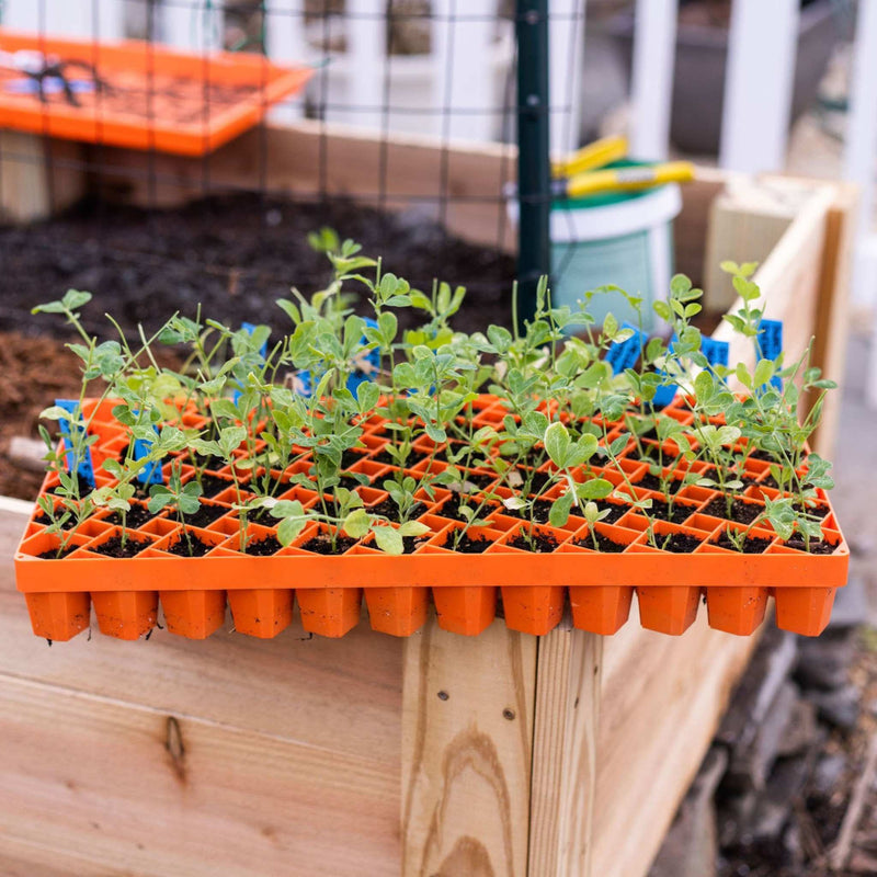Load image into Gallery viewer, Air Prune Heavy Duty Propagation Tray - 72 Cell

