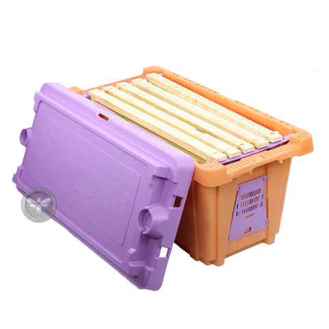 Five-frame plastic nuc box for housing and transporting a nucleus colony.