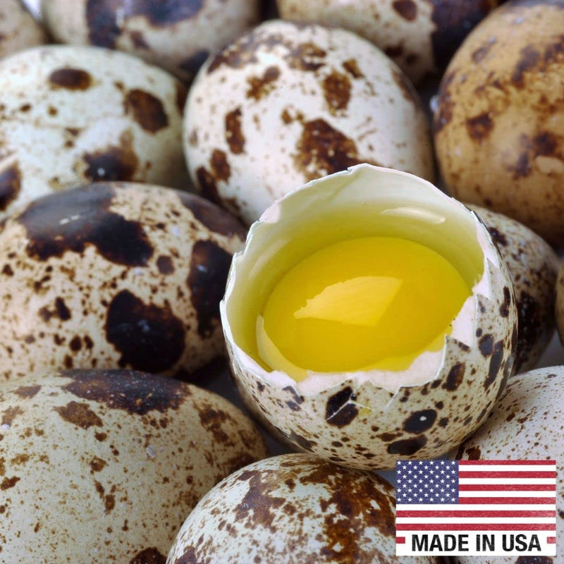 Load image into Gallery viewer, 36 Quail Eggs for Hatching - Fertile Coturnix Selection Hens Choice, AI &amp; NPIP Certified, Sustainably Sourced from Family-Run Farms, Farm Fresh Delivery with Minimal Breakage
