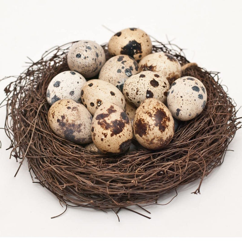 Load image into Gallery viewer, Fresh Quail Eggs Laid in the US
