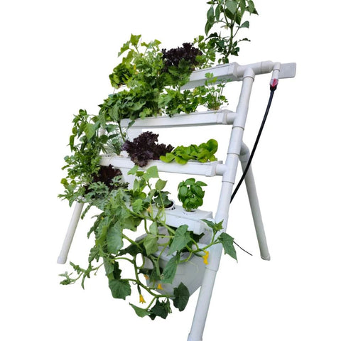 Homie 28 home hydroponic growing system